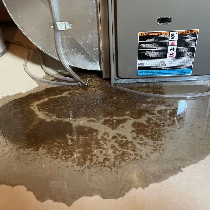 Pipe Burst and Leak Restoration in North Belle Vernon, PA