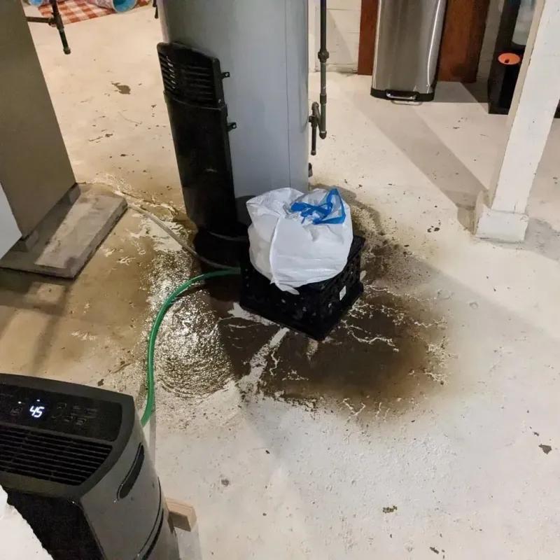 Sewage Backup Cleanup Service in North Belle Vernon, PA